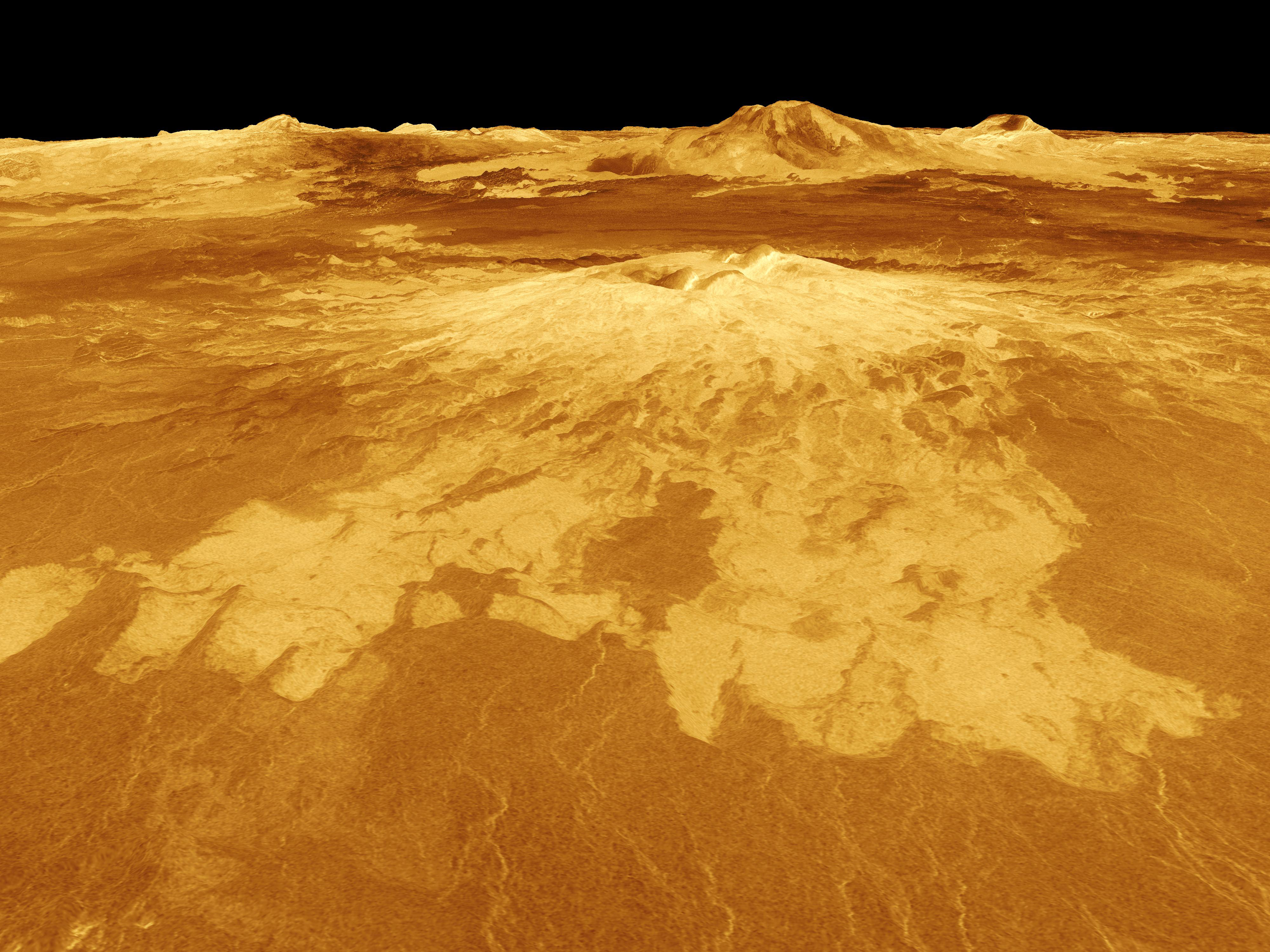 由火山构成的金星表面。(NASA/JPL)
