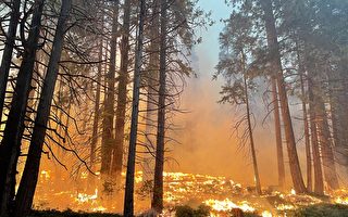 加州优胜美地附近野火失控 六千居民撤离