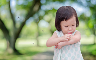 小孩被蚊子叮咬 應該如何處理？