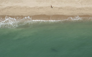 组图：美国麻州海岸出现大白鲨 吸引游客前来