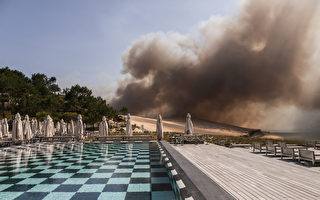 一死13傷 法國野火肆虐 面積超巴黎