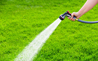 天氣乾旱 水公司促客戶用奇偶數澆水法