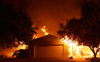 橡樹大火失控延燒超1.4萬英畝  紐森宣布緊急狀態