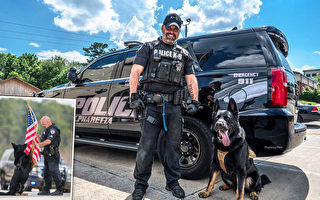 美国警官和拥有数百万粉丝的勇敢警犬