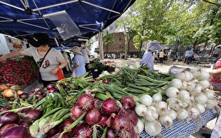 法拉盛農夫市場回歸  新鮮蔬菜種自上州沃土