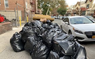 嚴打老鼠？紐約市清潔局擬推遲垃圾上街時間