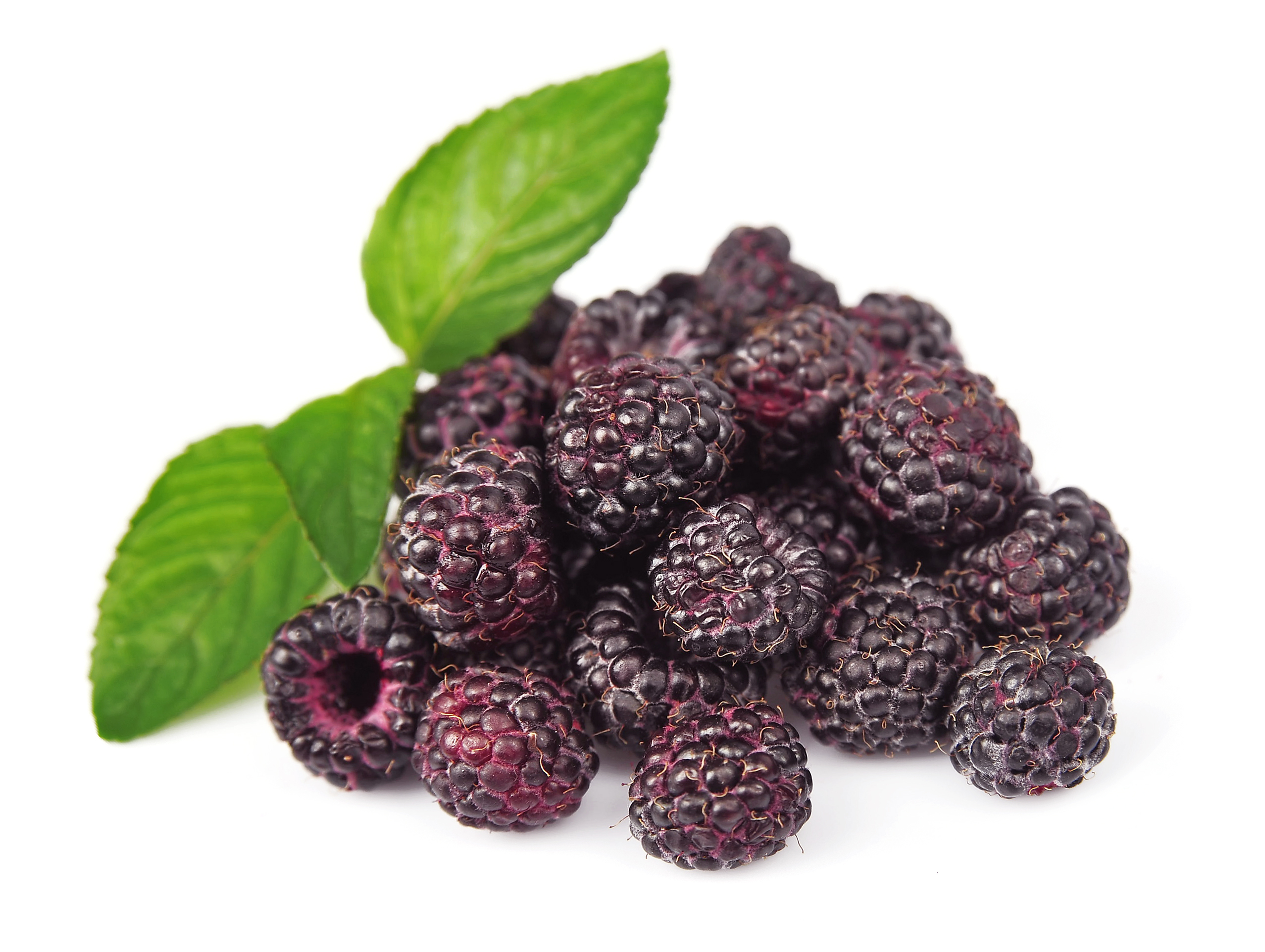 降血壓防糖尿病黑樹莓7大驚人健康功效| 黑覆盆子| 減肥| 防癌| 大紀元