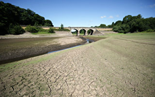英格兰经历严重干旱 部分地区限水