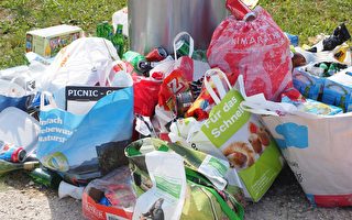 Knox市將推新政 每兩週收一次普通垃圾