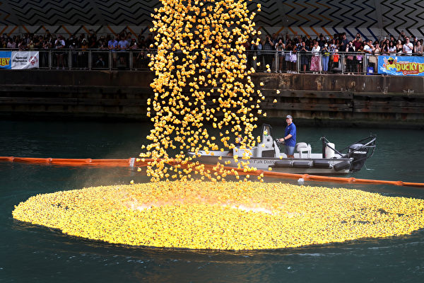 組圖：芝加哥籌款 7.5萬隻橡皮鴨漂河競速