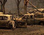 麦金尼大火控制率达40%  未来天气恐增灭火难度