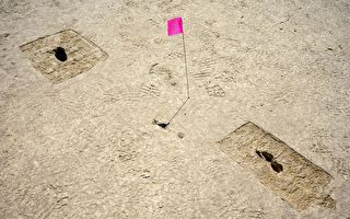 美犹他州沙漠发现大批1.2万年前人类足迹