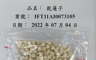 黃麴毒素超標近10倍 中國乾蓮子遭攔截