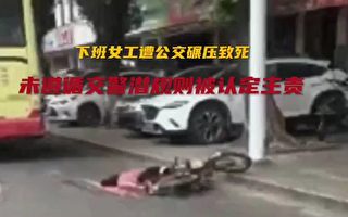 妻遭公交车撞死被判负主责 广东男子指不公