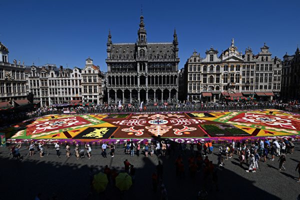組圖：40萬朵花構成 比利時展出巨型花毯