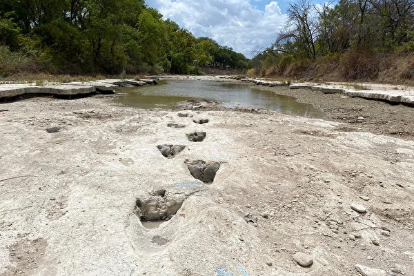乾旱致河道乾涸 德州驚現1億年前恐龍足跡