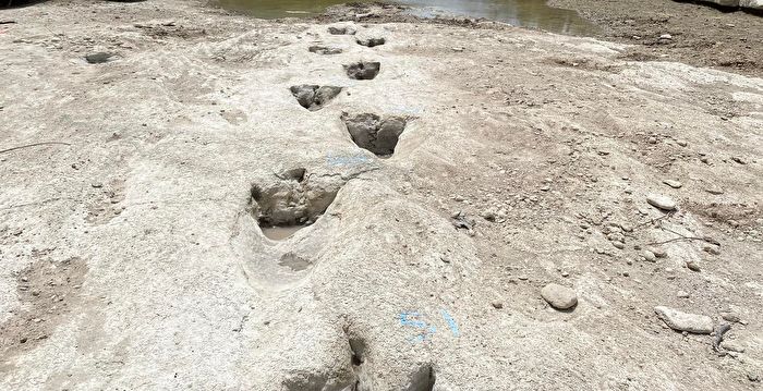 干旱致河道干涸 德州惊现1亿年前恐龙足迹