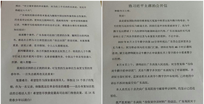 “恶俗维基案”不让申诉 牛腾宇母致信习近平