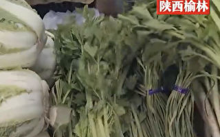陝西夫婦售賣5斤芹菜遭罰6.6萬 引爭議