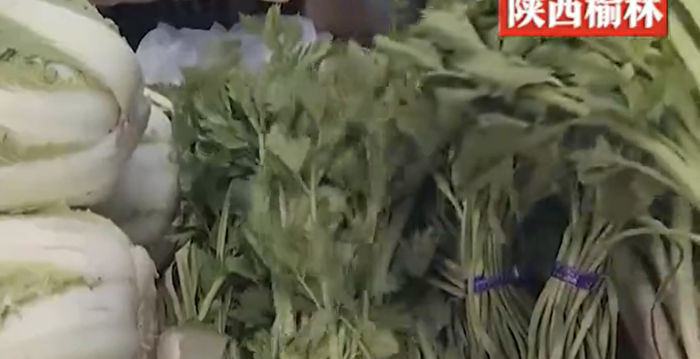 陕西夫妇售卖5斤芹菜遭罚6.6万 引争议