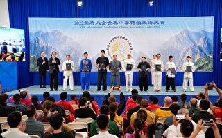 组图1：新唐人武术大赛银奖得主风采