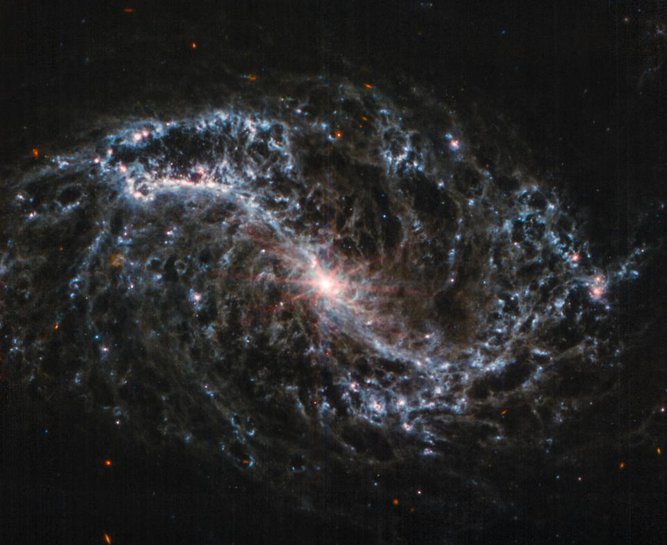 NGC 7496棒旋星系。(NASA / ESA / CSA / JUDY SCHMIDT)