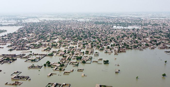 巴基斯坦暴雨洪灾致1100人亡 含380儿童