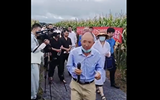 貴州一群專家玉米地鋪地毯考察 網民諷「作秀」