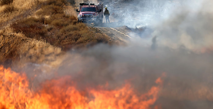 加州气温飙升野火肆虐 纽森宣布进入紧急状态