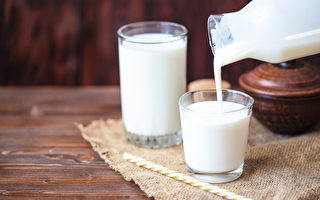 健康观念转变 更多澳人转喝全脂牛奶