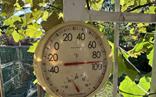 最新数据显示 新泽西遇有史以来最热八月