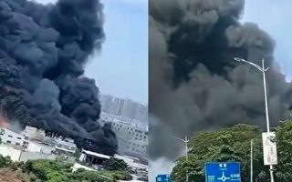 广东东莞废弃厂房起火 7人死亡