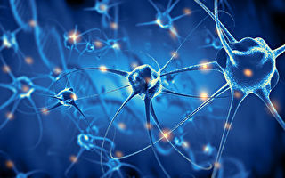 科学家发明新传感器 对神经元无创快速成像