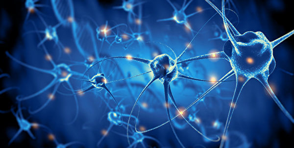科学家发明新传感器 对神经元无创快速成像