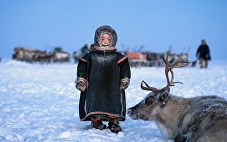 组图：西伯利亚最后一批驯鹿牧民的罕见照