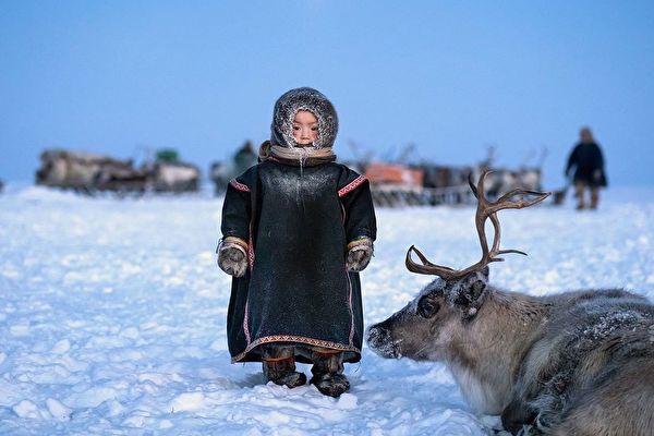 組圖：西伯利亞最後一批馴鹿牧民的罕見照