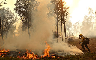 北加州爆发两场野火 数千居民撤离