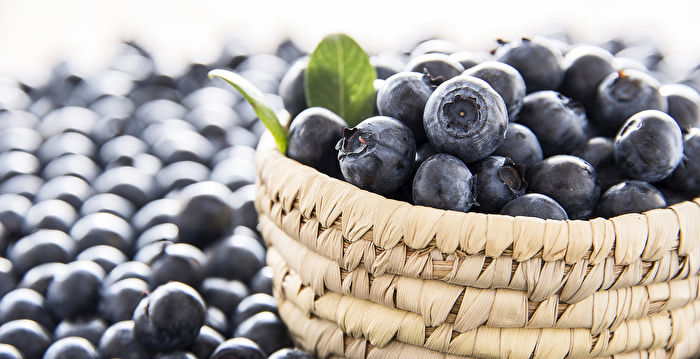 7 Reasons You Should Eat More Blueberries One Kind Is More Nutritious Organic Blueberries