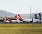 澳航悉尼-堪培拉航班取消率仍然很高