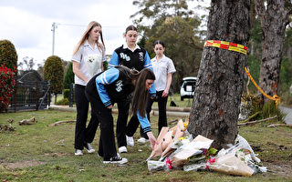 悉尼西南區慘烈車禍 5名青少年喪生