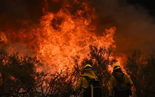 加州野火蔓延逾1.4萬英畝 威脅重要基礎設施