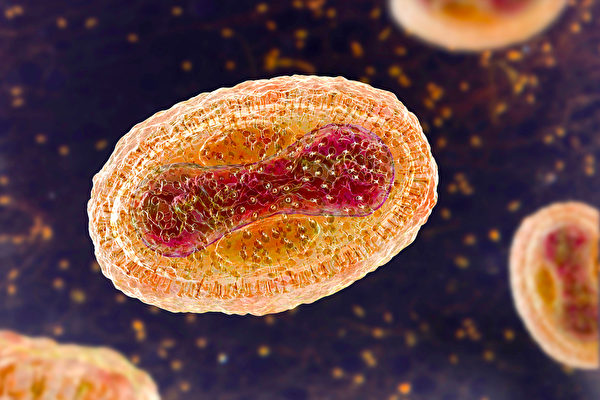 新研究发现，这一场猴痘疫情的主要传播方式，很可能是性行为传播。(Shutterstock)