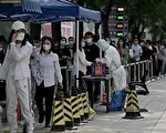 【網海拾貝】1000天前和1000天後與100天前和100天後