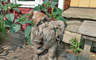 10年捡数百小雕塑 墨尔本女议员打造“矮人村”