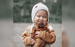 亲近大自然 一岁女童温柔陪伴她抚养的小鸡