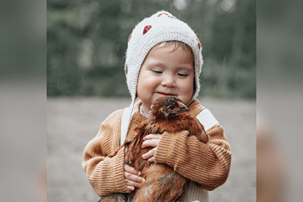 親近大自然 一歲女童溫柔陪伴她撫養的小雞