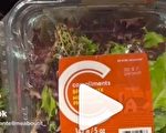 稀奇！超市密封生菜盒中现活青蛙