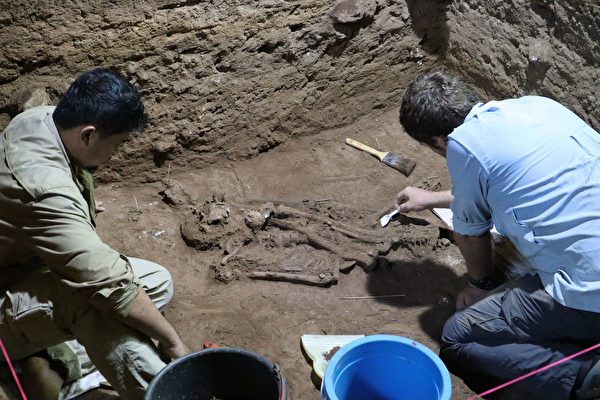 驚人發現 3萬年前人類可實施精湛截肢手術