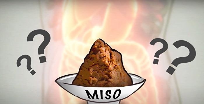 【雪说健康】味噌的惊人内涵