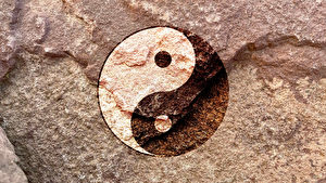 太极谜踪 探索一个中国神传文化的理路